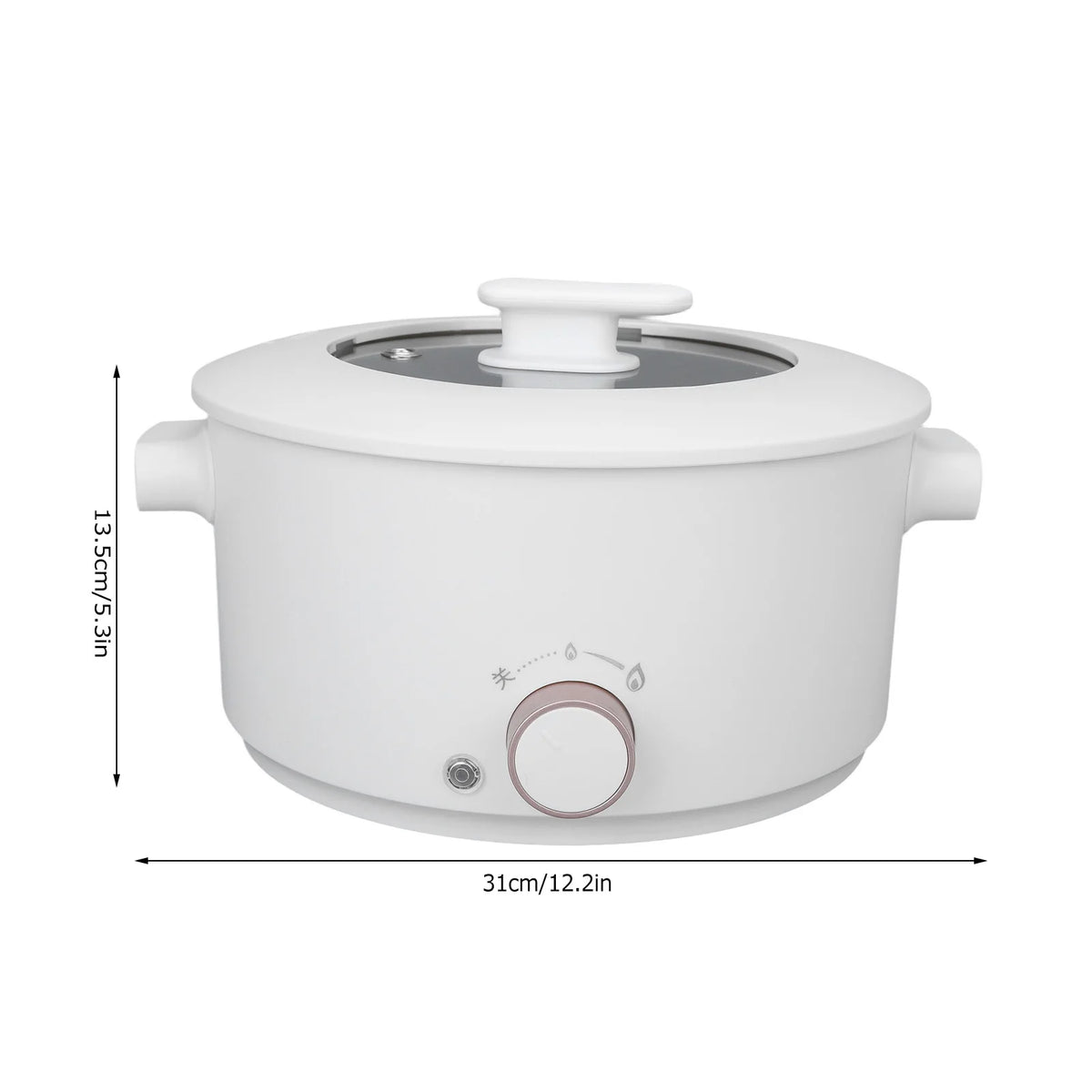 3L Electric Cooking Pot Mini Multifunctional Electric Cooker Dorm Studen Electric Frying Pan 220V