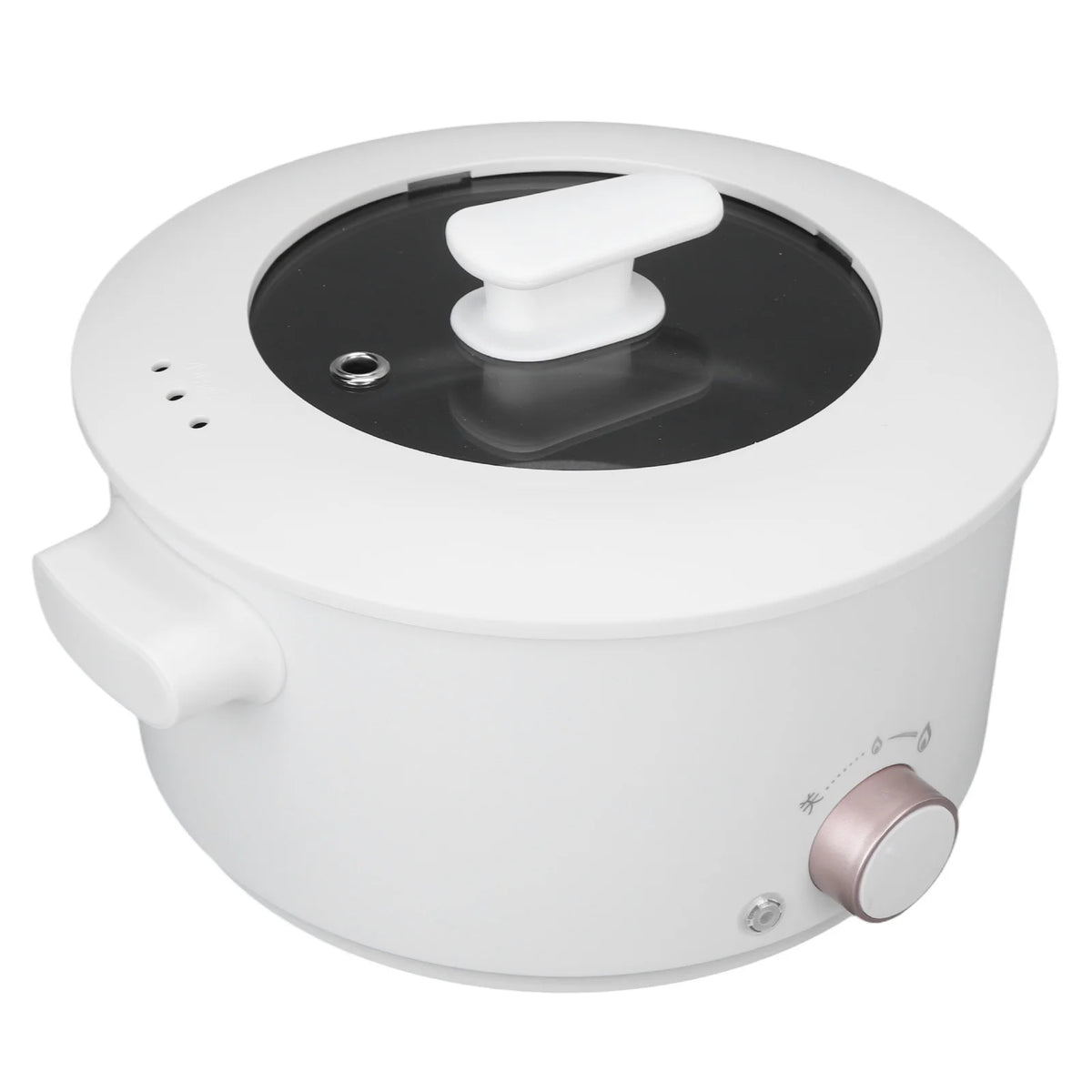 3L Electric Cooking Pot Mini Multifunctional Electric Cooker Dorm Studen Electric Frying Pan 220V