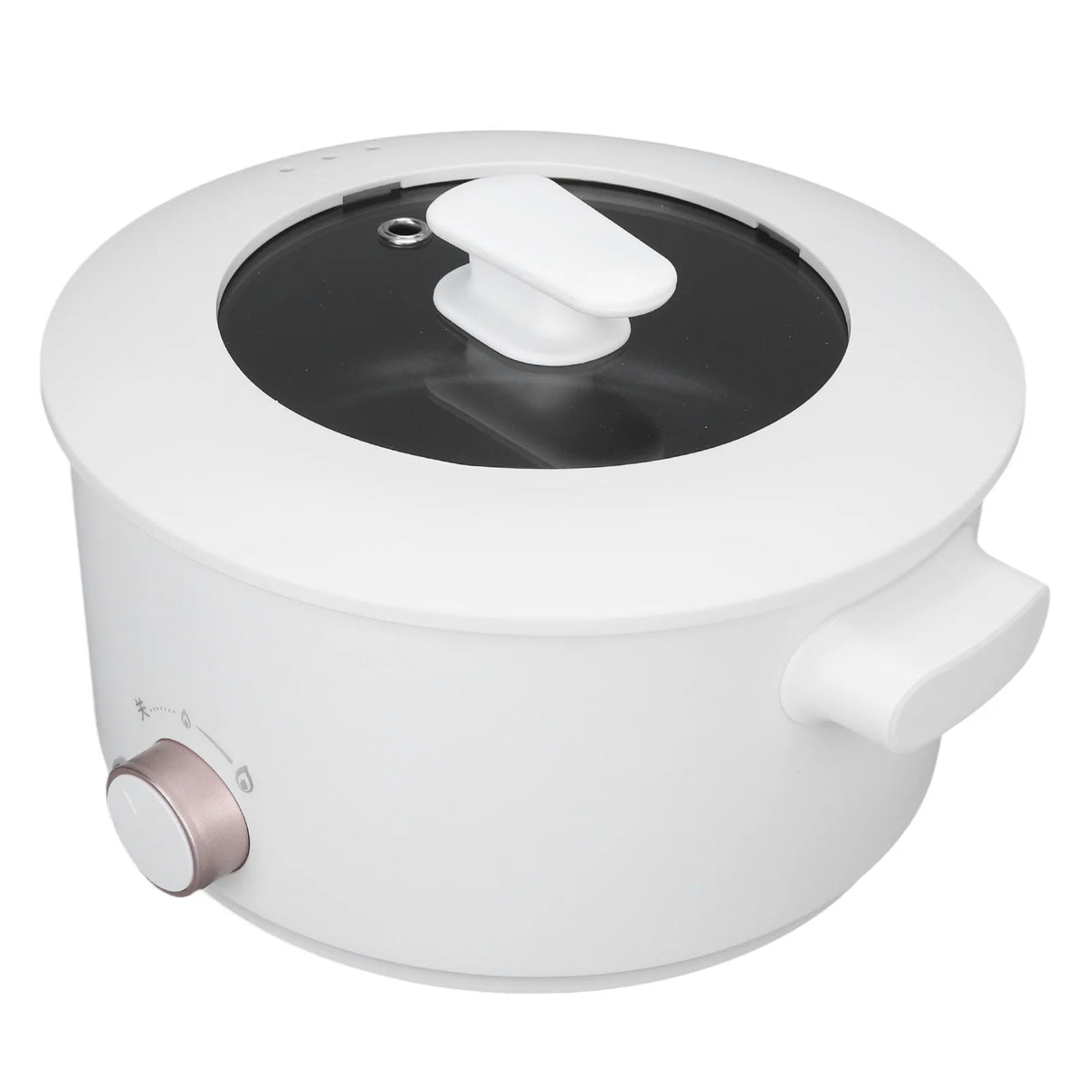3L Electric Cooking Pot Mini Multifunctional Electric Cooker Dorm Studen Electric Frying Pan 220V