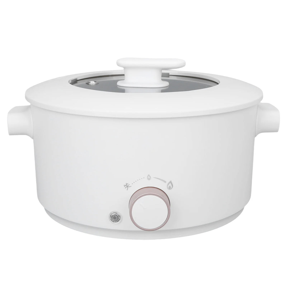 3L Electric Cooking Pot Mini Multifunctional Electric Cooker Dorm Studen Electric Frying Pan 220V